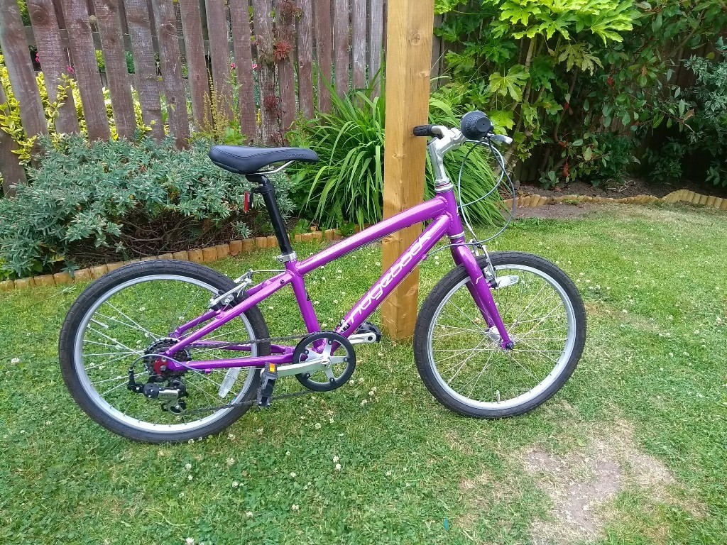 ridgeback dimension 20